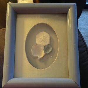 Vintage 1980s Framed Seashell Art in White Frame